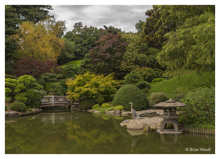 bird garden